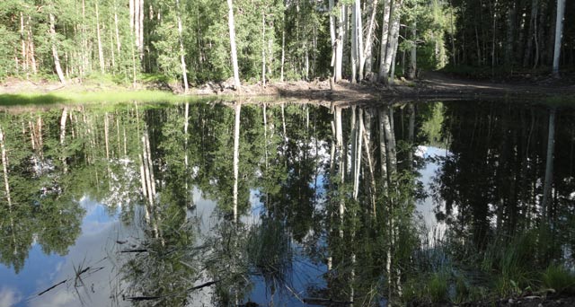 Still waters at Buckhorn Lakes